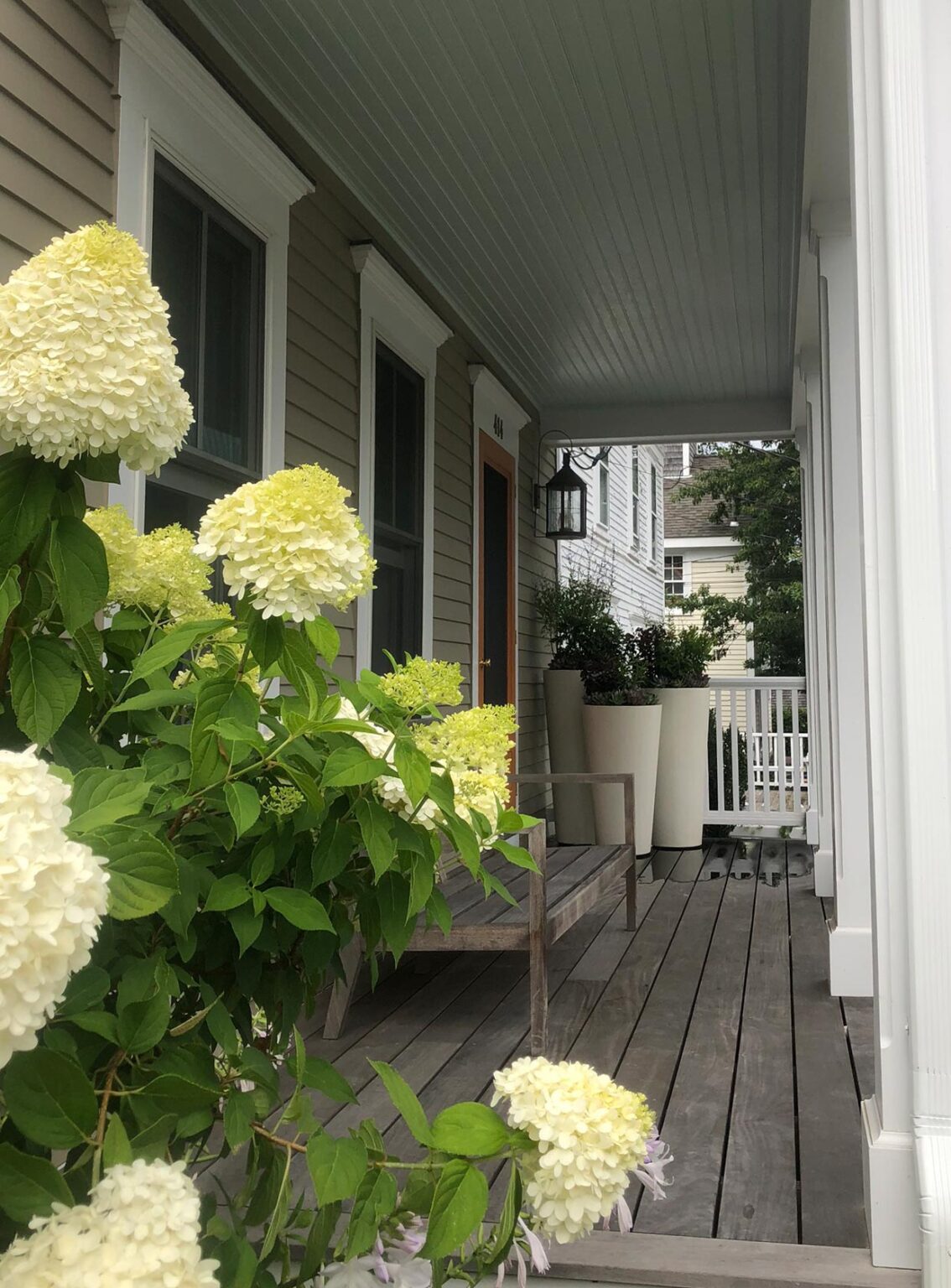 Cape Cod Garden - Potted UP