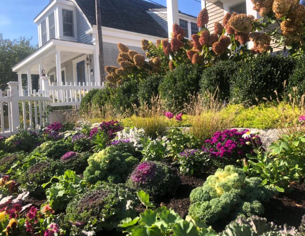 Cape Cod Garden – Potted UP