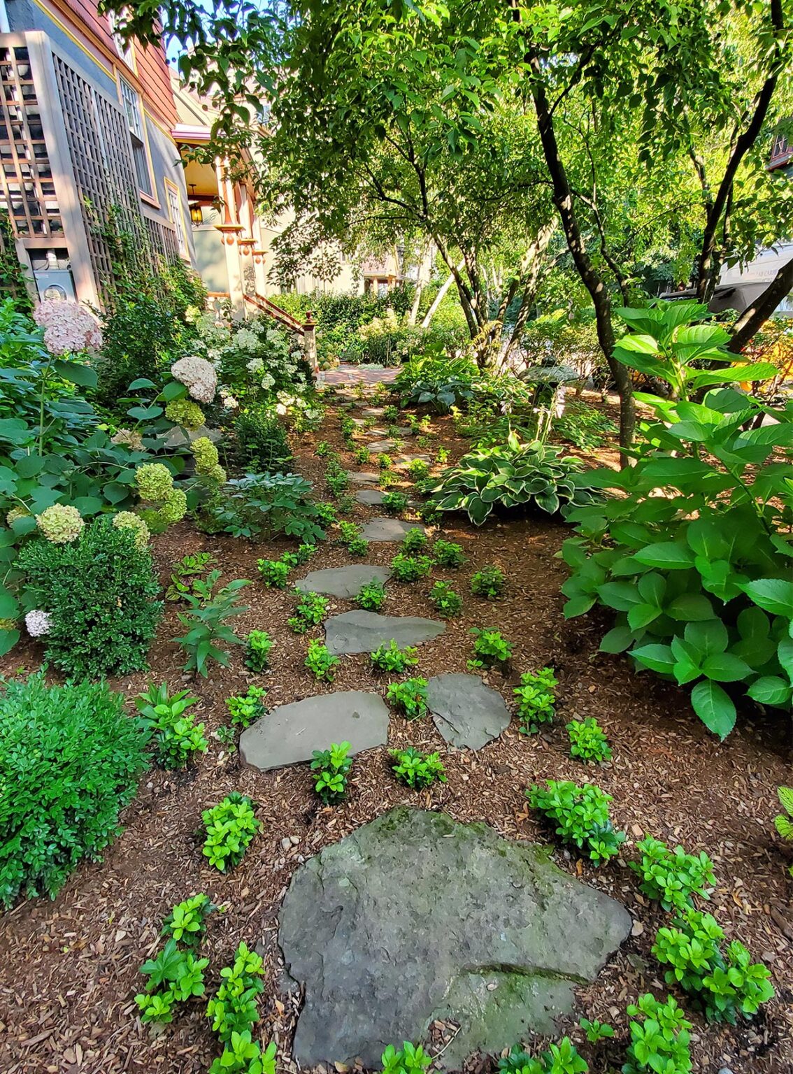 Jamaica Plain Garden Potted UP